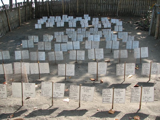 carol4.jpg carol4.jpg