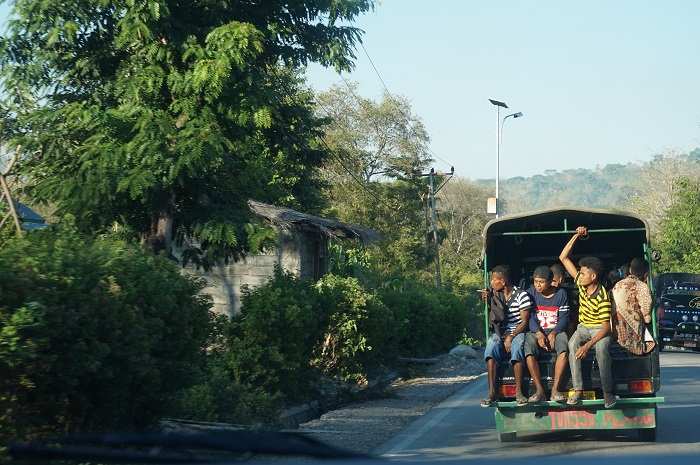 Struggling for a job